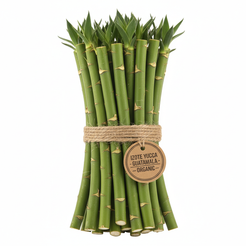 Caña de Izote para Sembrar 25cm - Origen Ecológico BDL Café